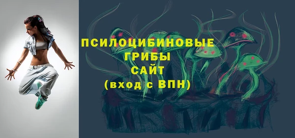 МДПВ Медногорск