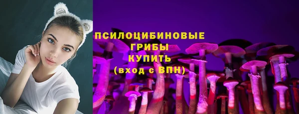mix Мегион